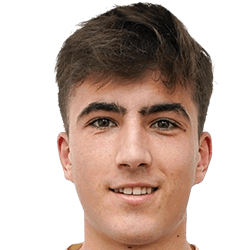 哈維-羅德里格斯